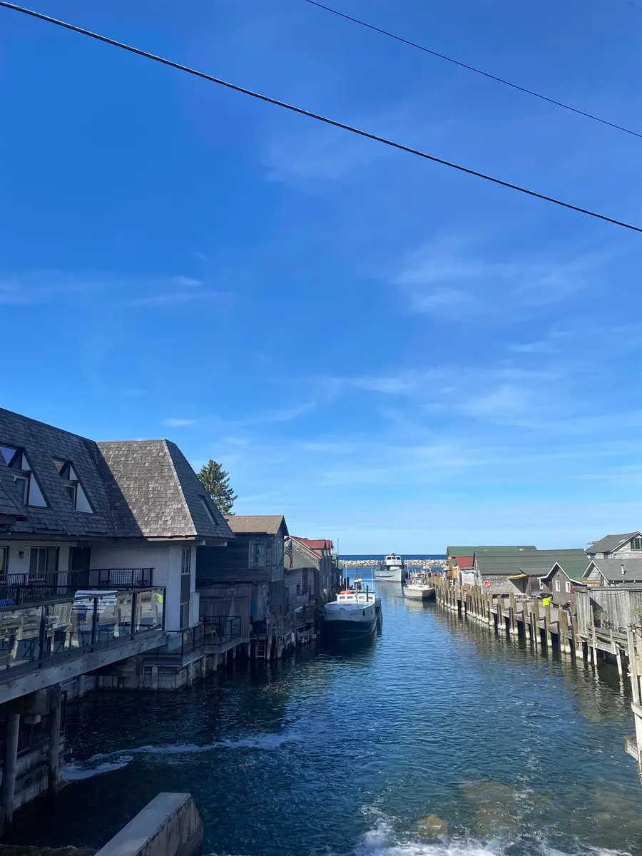 Lot 15 S Club, Cedar, MI 49621 - #3