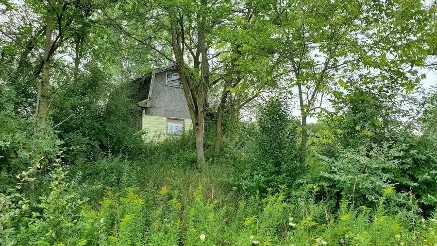 2791 E Remick, Shepherd, MI 48883 - #3