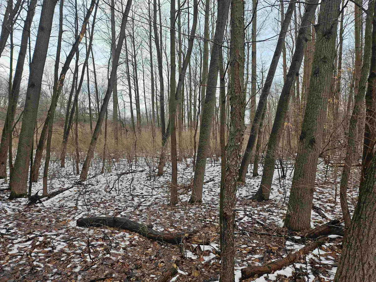 1013 Crown Pointe, Lake Isabella, MI 48893 - #1