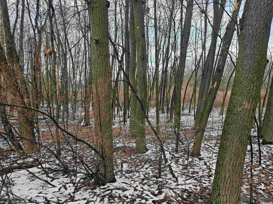 1013 Crown Pointe, Lake Isabella, MI 48893 - #3