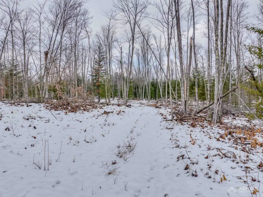 0 E Greenwood, Prescott, MI 48756 - #3