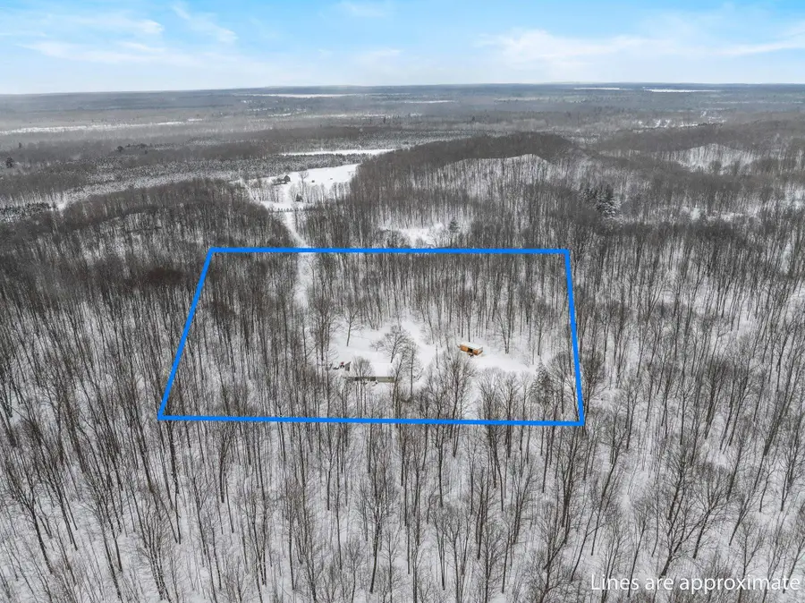 6081 Riley Ridge, Thompsonville, MI 49683 - #2