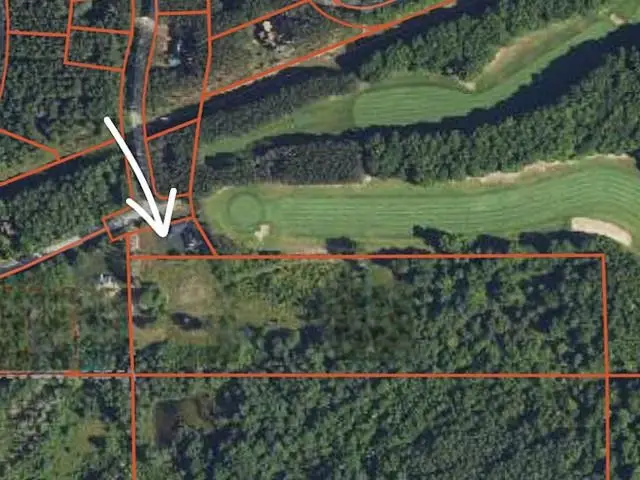 6994 Obervalden, Bellaire, MI 49615 - #2