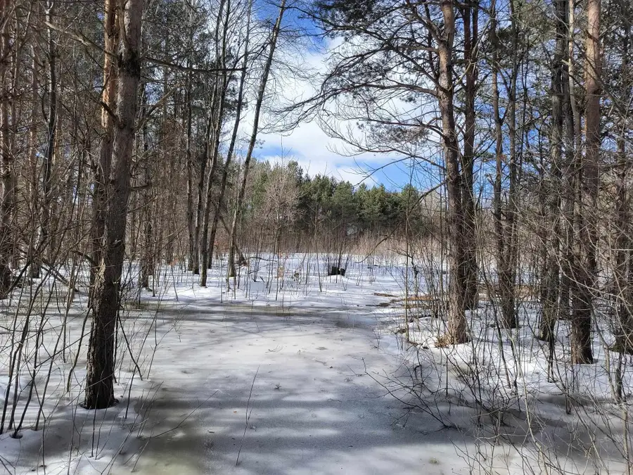 6916 Jasper, Kingsley, MI 49649 - #2