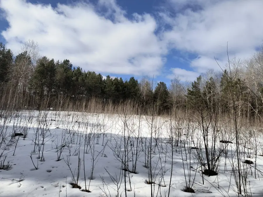 6916 Jasper, Kingsley, MI 49649 - #3