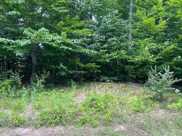 #7 Mooney, Kewadin, MI 49648 - #3