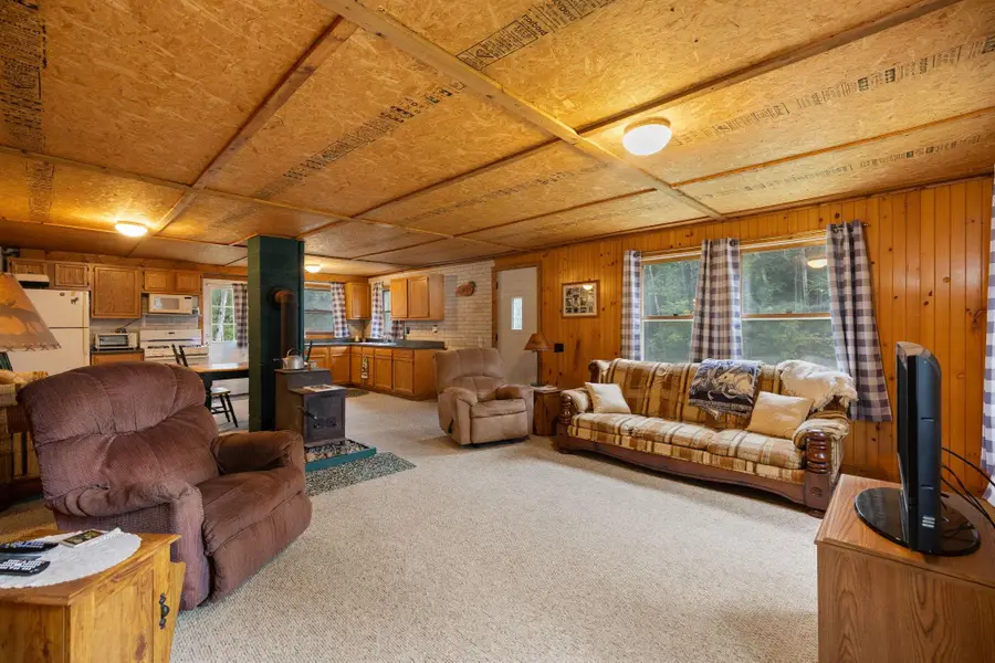 12525 SW Coster, Fife Lake, MI 49633 - #3