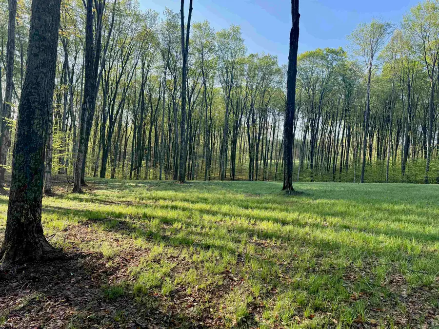 02 S Bright, Maple City, MI 49664 - #2