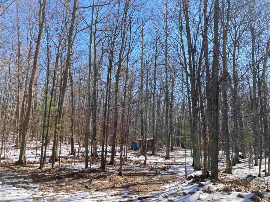 V/L Heath, Rose City, MI 48654 - #2