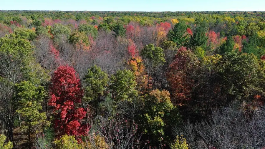 0 Timber, Prescott, MI 48756 - #2