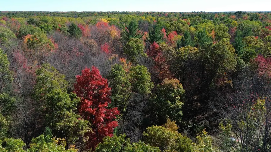 0 Timber, Prescott, MI 48756 - #3