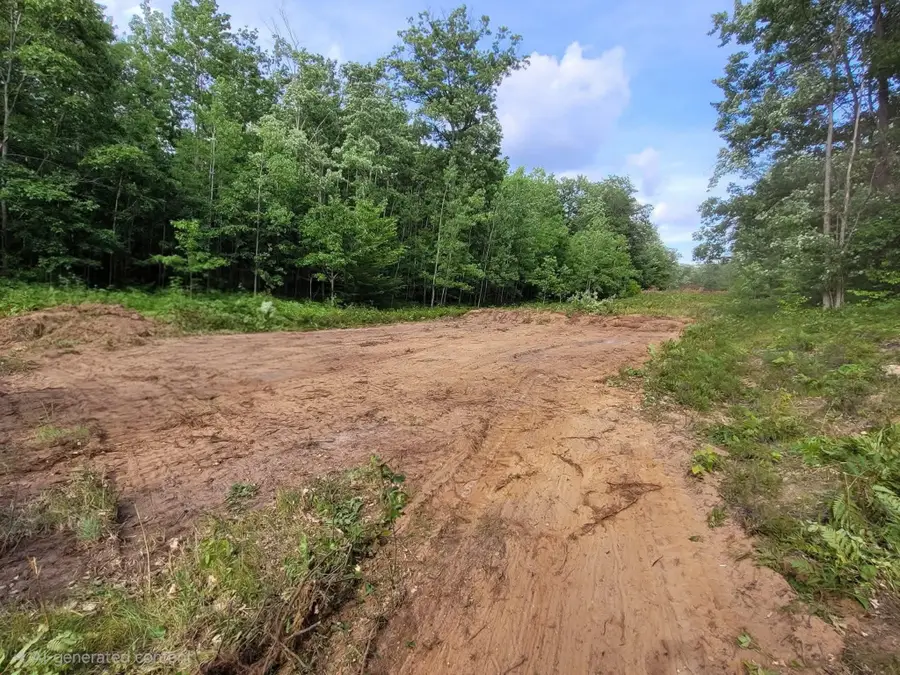 5955 S Brown, Cadillac, MI 49601 - #2