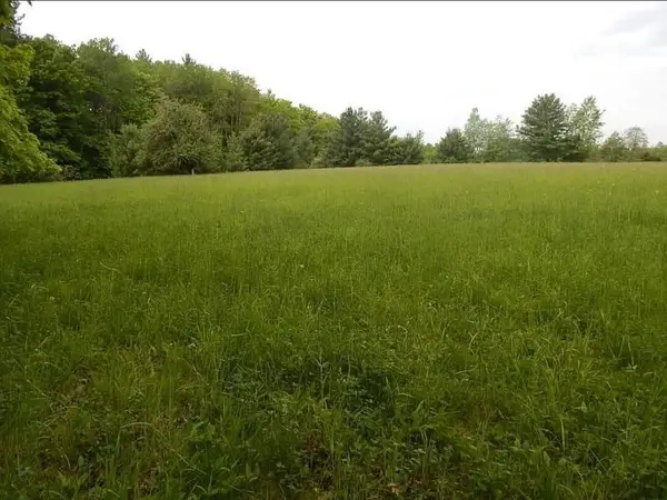 Kings Corner, Mikado, MI 48745