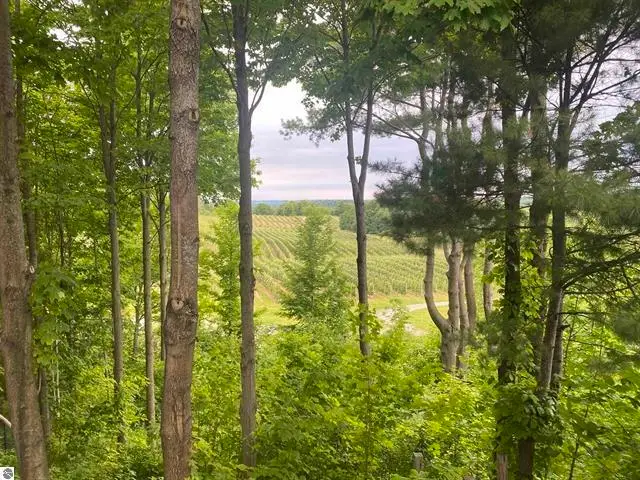 0 Center, Traverse City, MI 49686 - #2