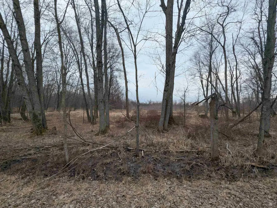 4438 Reynolds, Turner, MI 48765 - #3