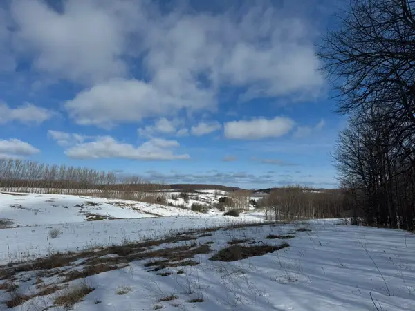 E John Michael, Suttons Bay, MI 49682