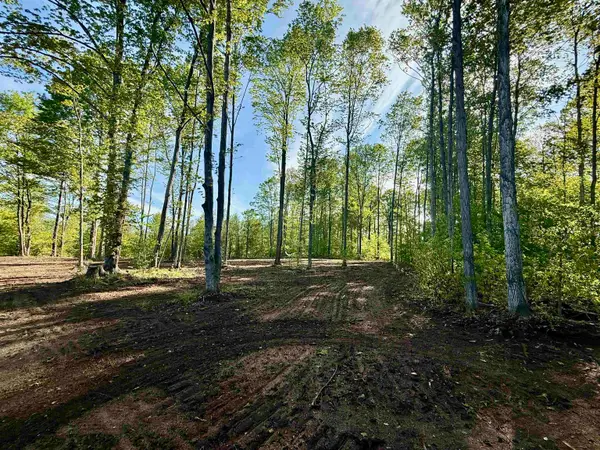 1155 E Solaris, Maple City, MI 49664