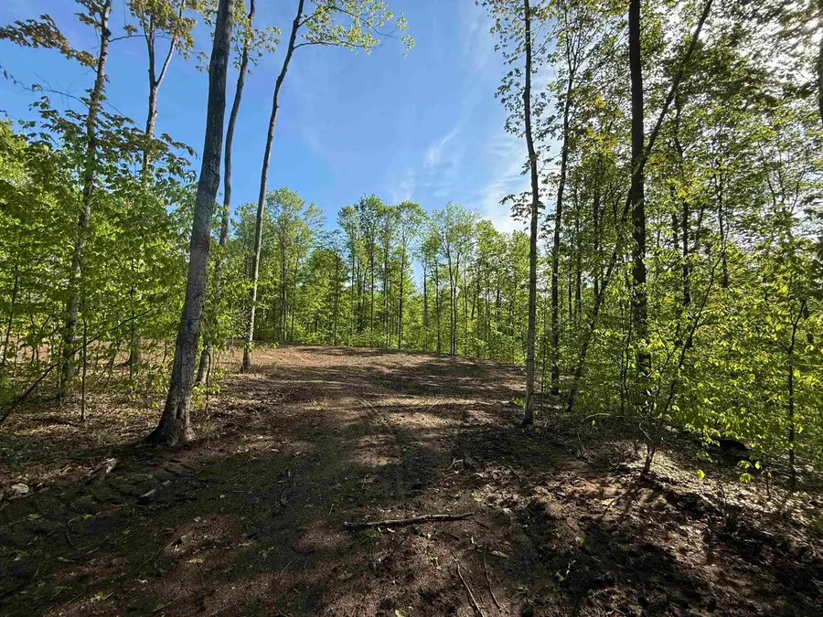 1371 E Solaris, Maple City, MI 49664 - #2