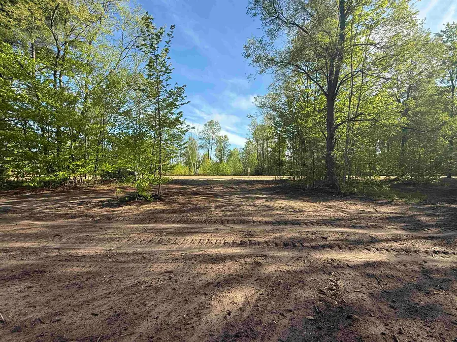 1128 E Solaris, Maple City, MI 49664 - #3