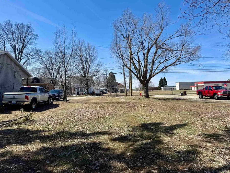 924 Farrar, Cadillac, MI 49601 - #3