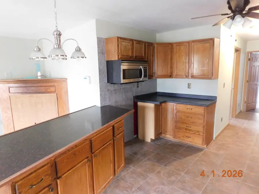 7439 E 22 1/2, Manton, MI 49663 - #3