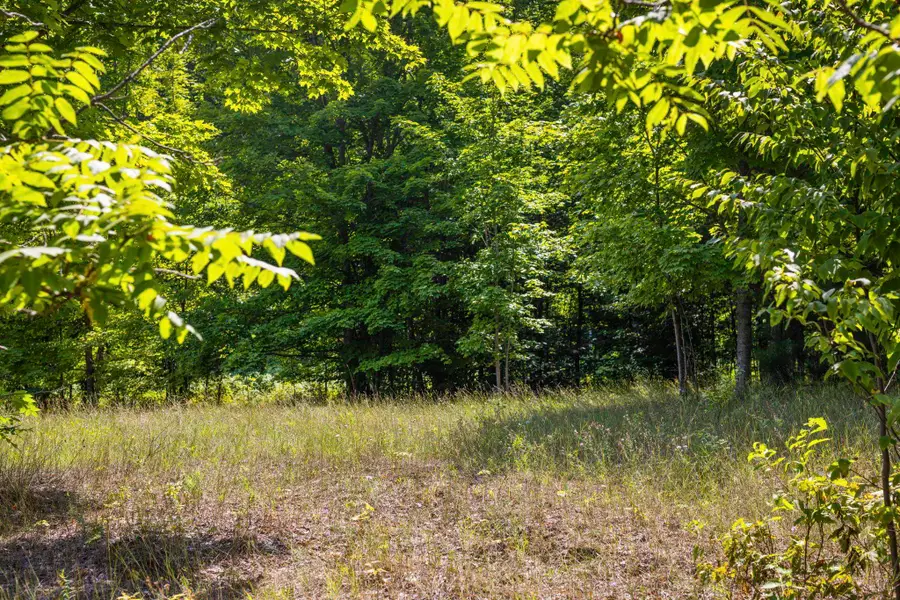 S Hill, Cedar, MI 49621 - #2