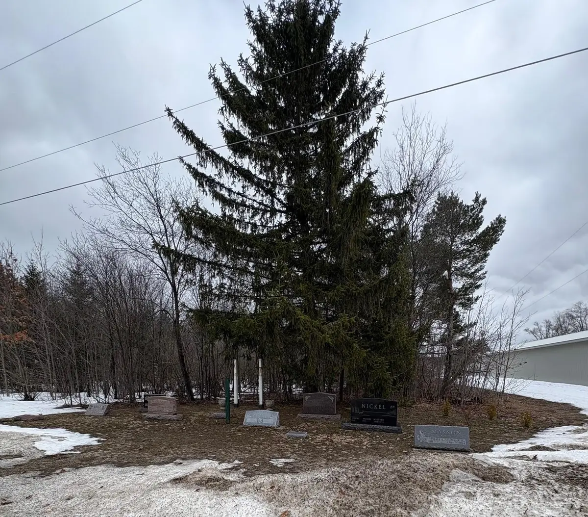 00 Cedar River, Mancelona, MI 49659 - #1