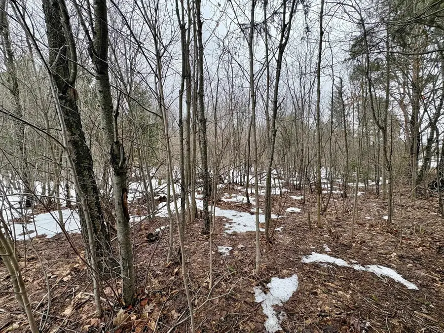 00 Cedar River, Mancelona, MI 49659 - #2