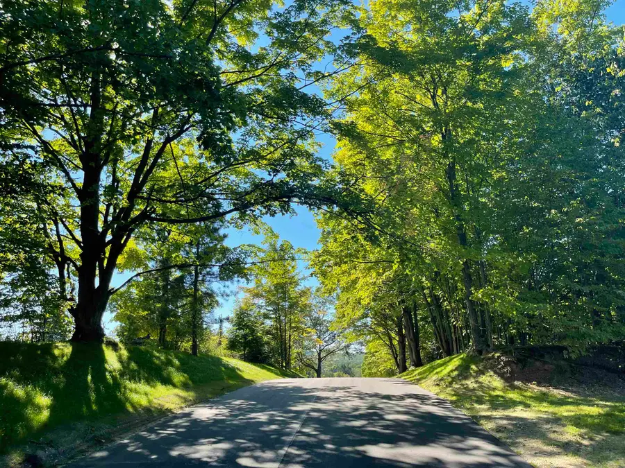 6165 Mountain Sky, Kingsley, MI 49649 - #2