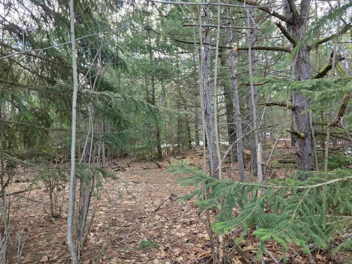 0001 Cedar River, Mancelona, MI 49659 - #1