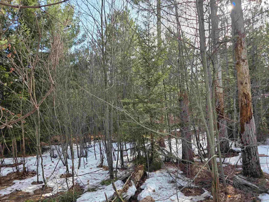 0001 Cedar River, Mancelona, MI 49659 - #3