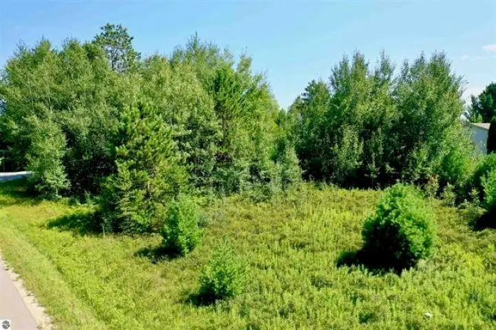 Lot 83 Mockingbird, Cadillac, MI 49601 - #3