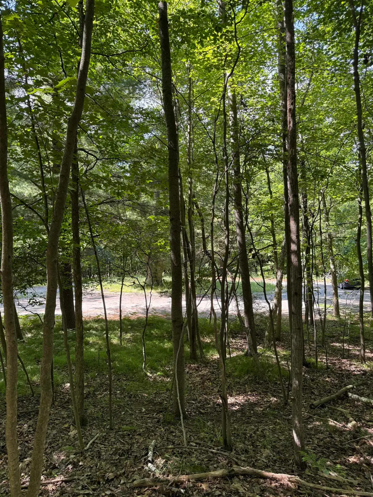 TBD Rivers Edge, Mount Pleasant, MI 48858 - #1