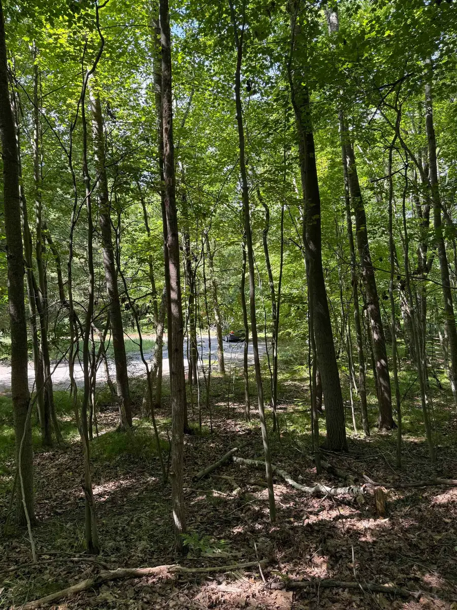 TBD Rivers Edge, Mount Pleasant, MI 48858 - #2
