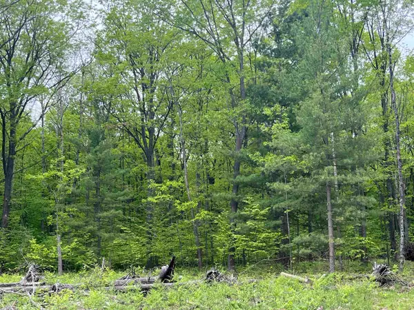 parcel D Theron, Traverse City, MI 49685