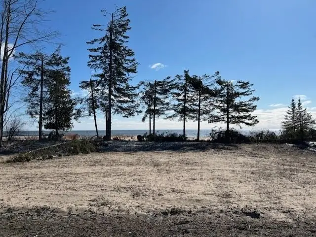 4546 N Lakeshore, Black River, MI 48721 - #3