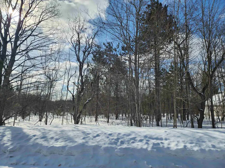 V/L Belmont, Mancelona, MI 49659 - #2