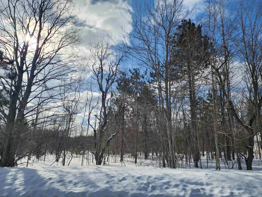 V/L Belmont, Mancelona, MI 49659 - #3