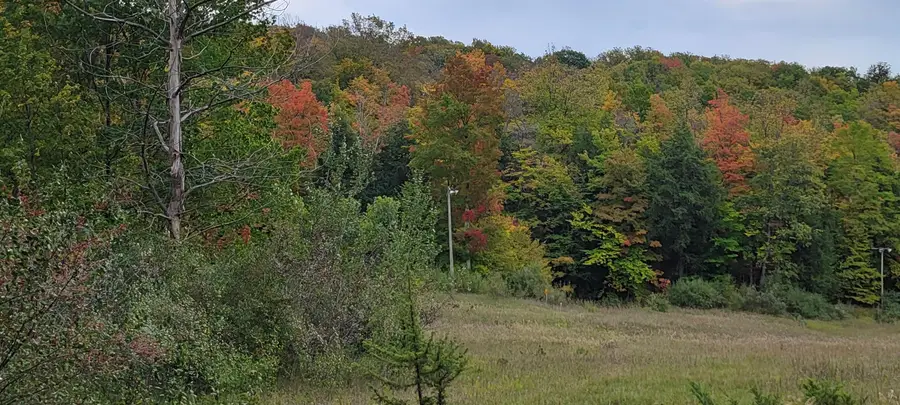 Lot A N Crossover, Bellaire, MI 49615 - #2