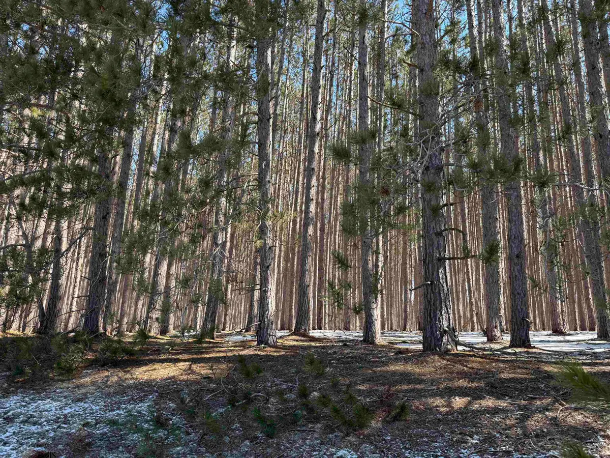 N Wheeler Lake, Kalkaska, MI 49646 - #1