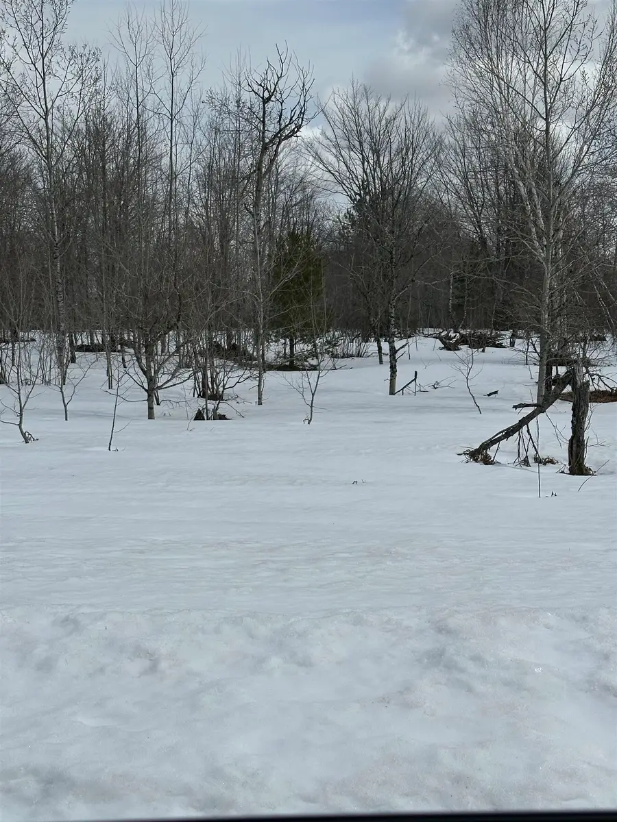 TBD Clarmont, Mancelona, MI 49659 - #3