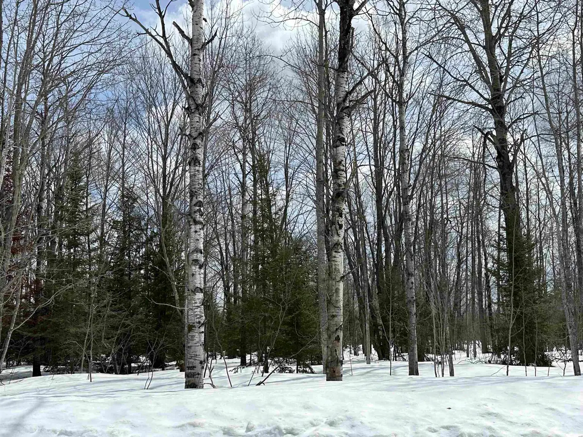 TBD Thornton, Mancelona, MI 49659 - #1