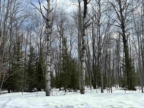 TBD Thornton, Mancelona, MI 49659