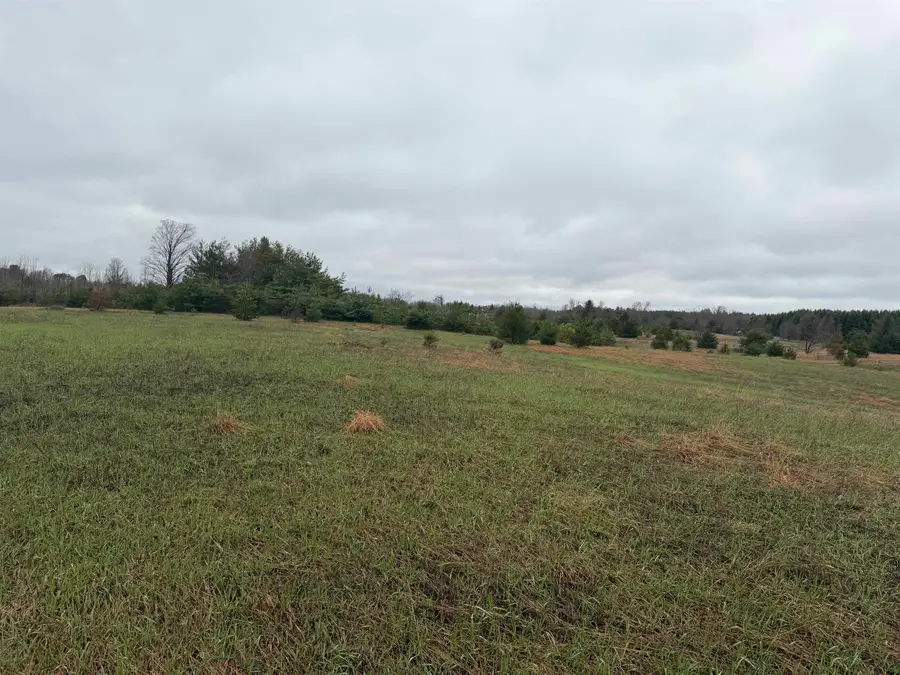 Lot I E Sparling, Kingsley, MI 49649 - #2