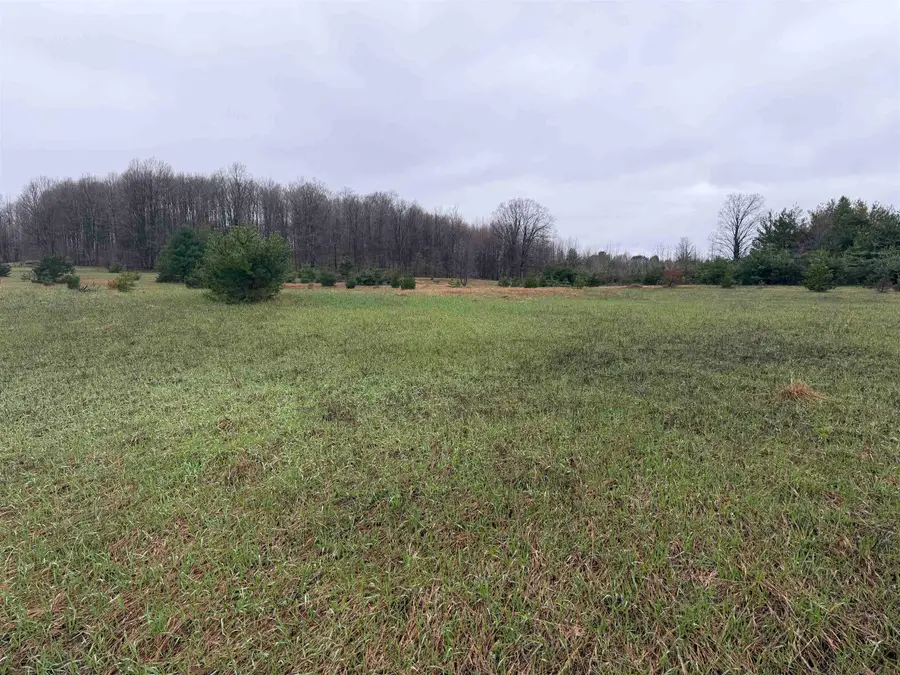 Lot I E Sparling, Kingsley, MI 49649 - #3