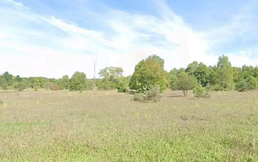 15040 North, Thompsonville, MI 49683 - #3