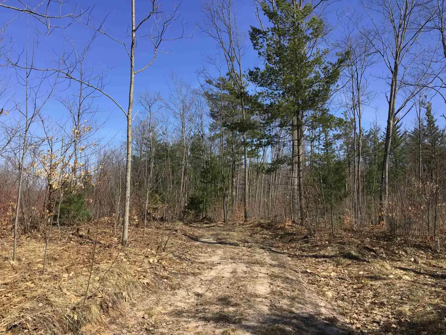 80 VL Mackinaw, Cadillac, MI 49601 - #2