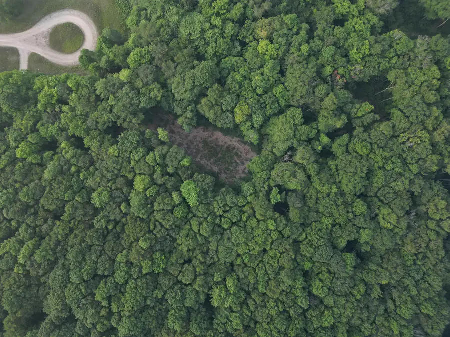 00 S Bridle, Empire, MI 49630 - #3