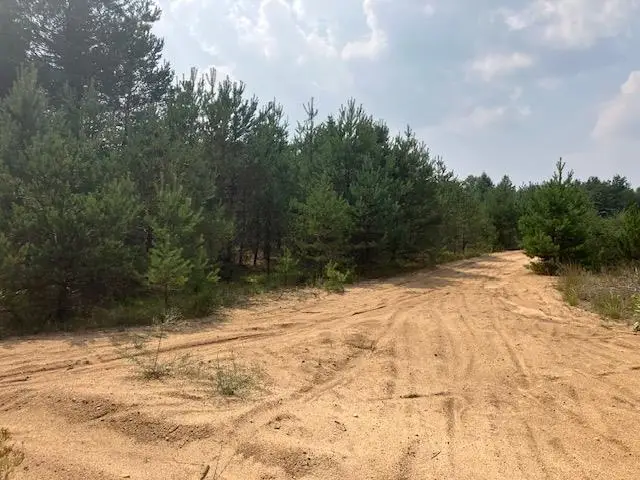 Parcel N 2 1/2, Buckley, MI 49620 - #2