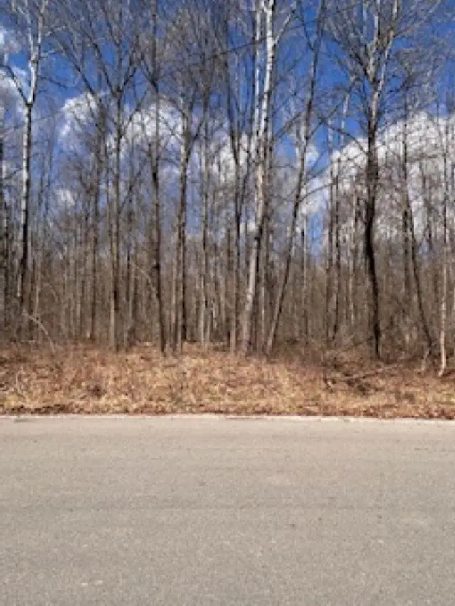 2895 Degeer, Midland, MI 48642 - #3